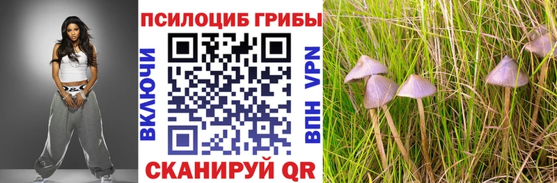 купить наркоту  Чёрмоз  Галлюциногенные грибы ЛСД 